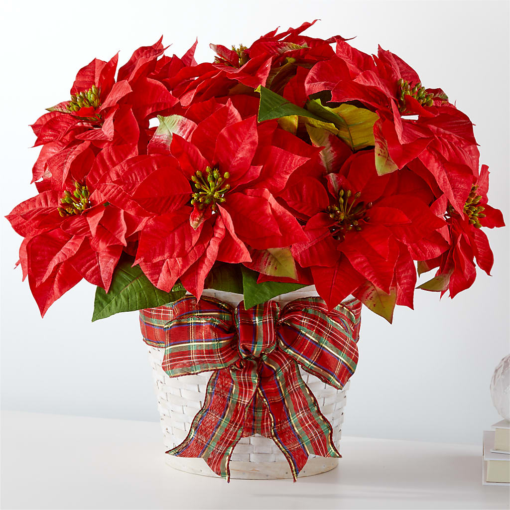 Happiest Holidays Poinsettia – LAVENDER'S FLOWERS, Richmond BC