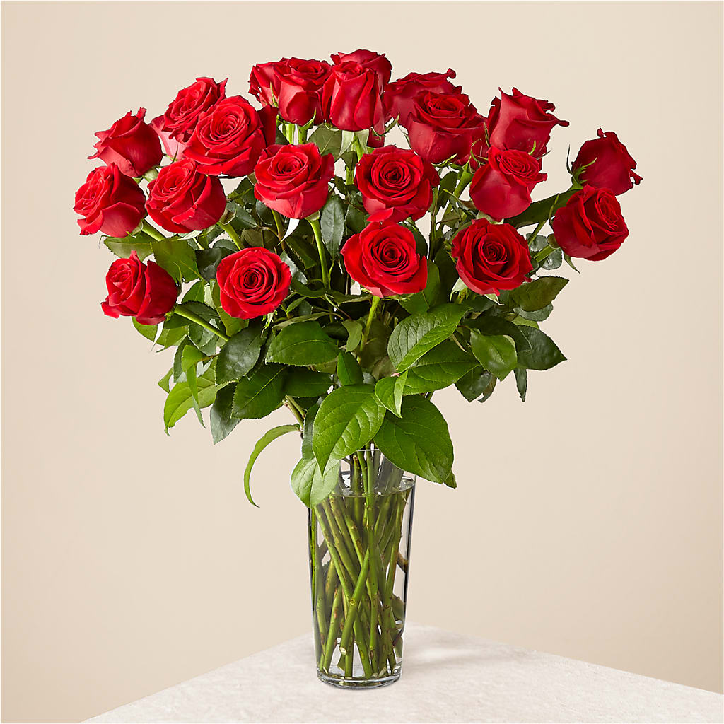 Long Stem Red Rose Bouquet – LAVENDER'S FLOWERS, Richmond BC