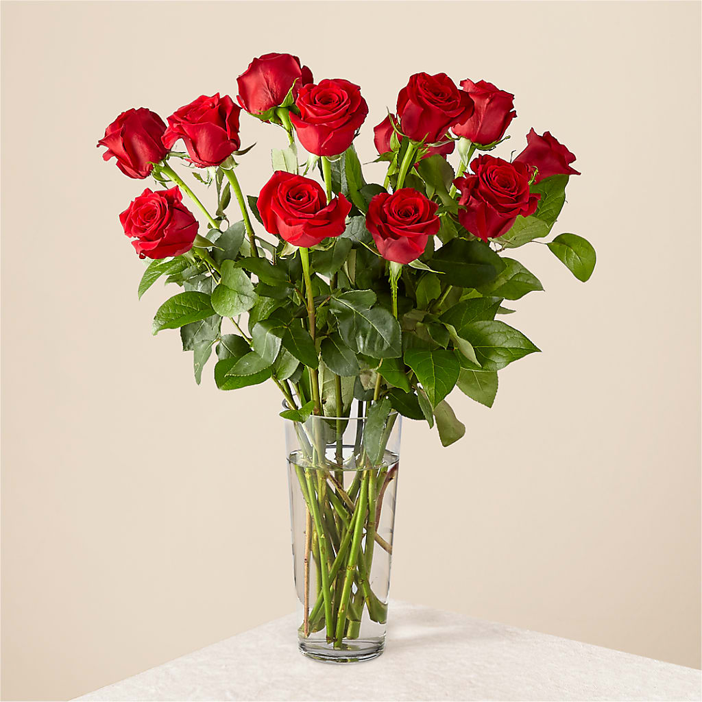 Long Stem Red Rose Bouquet – LAVENDER'S FLOWERS, Richmond BC