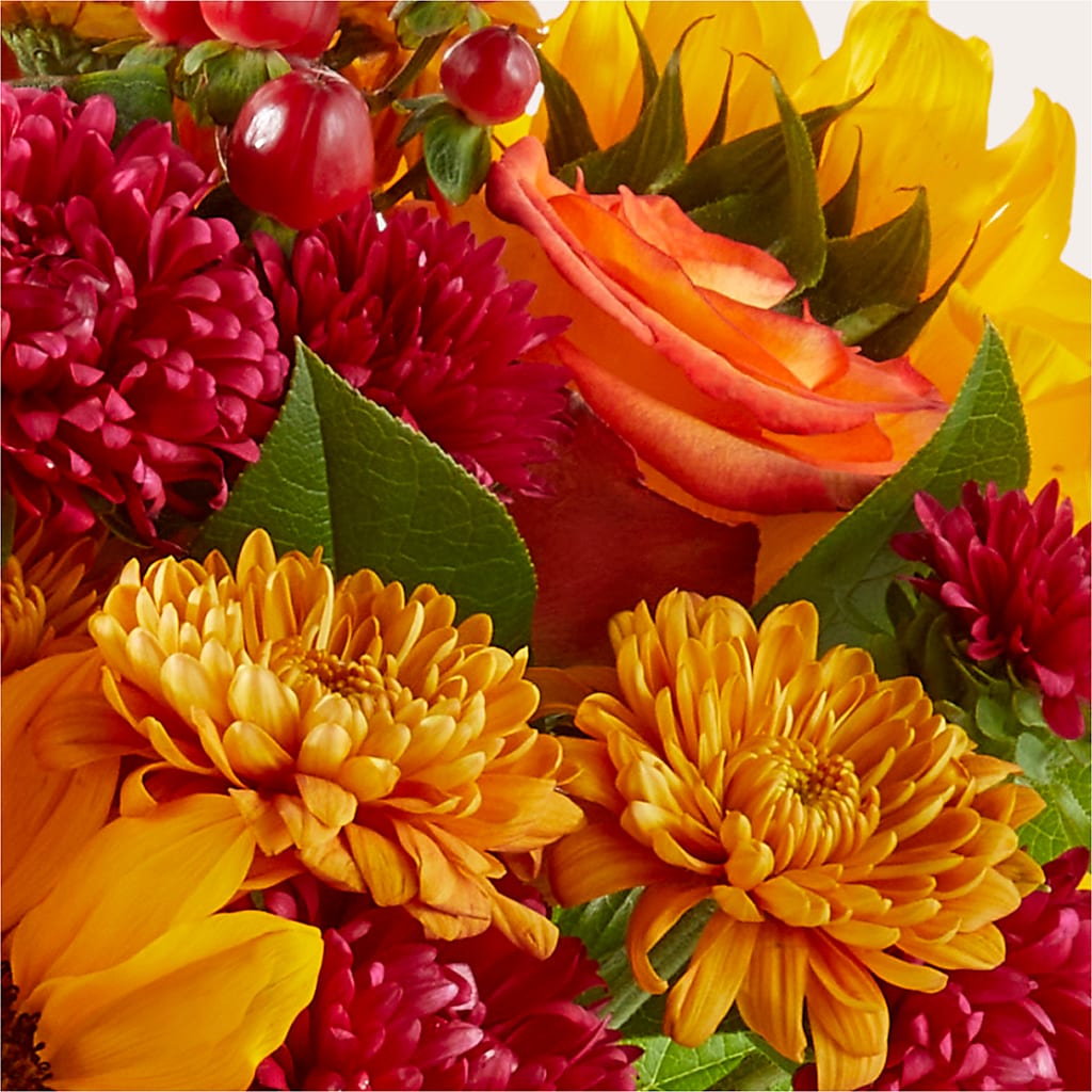 Sweater Season - A Florist Original – LAVENDER'S FLOWERS, Richmond BC
