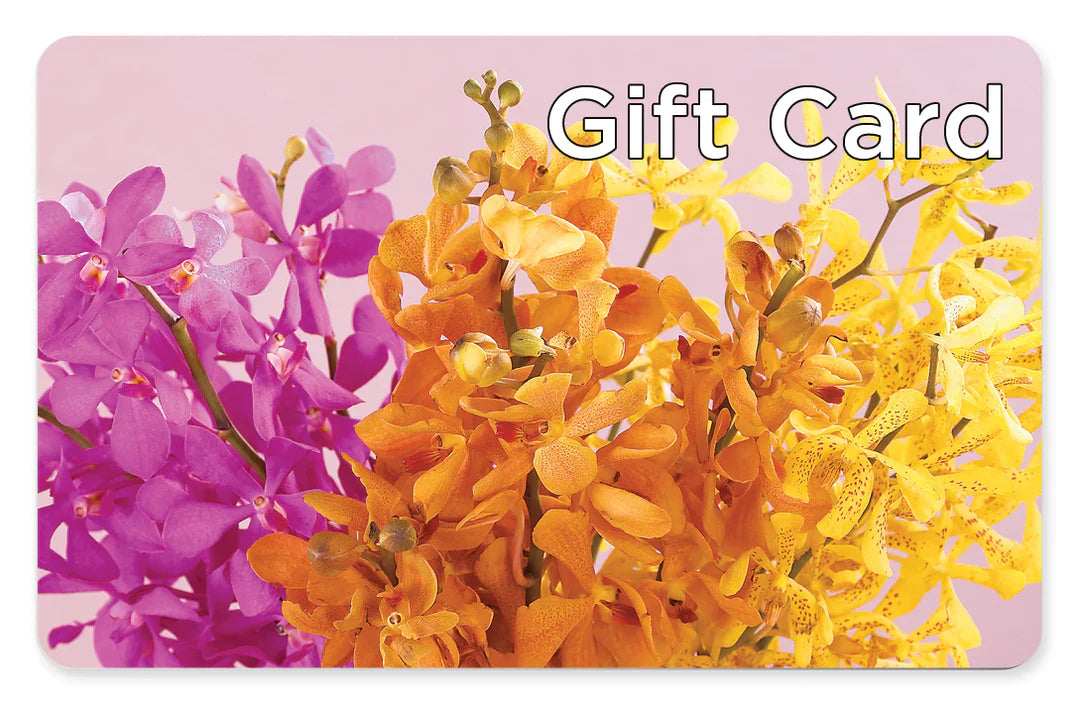 Gift Card – LAVENDER'S FLOWERS, Richmond BC