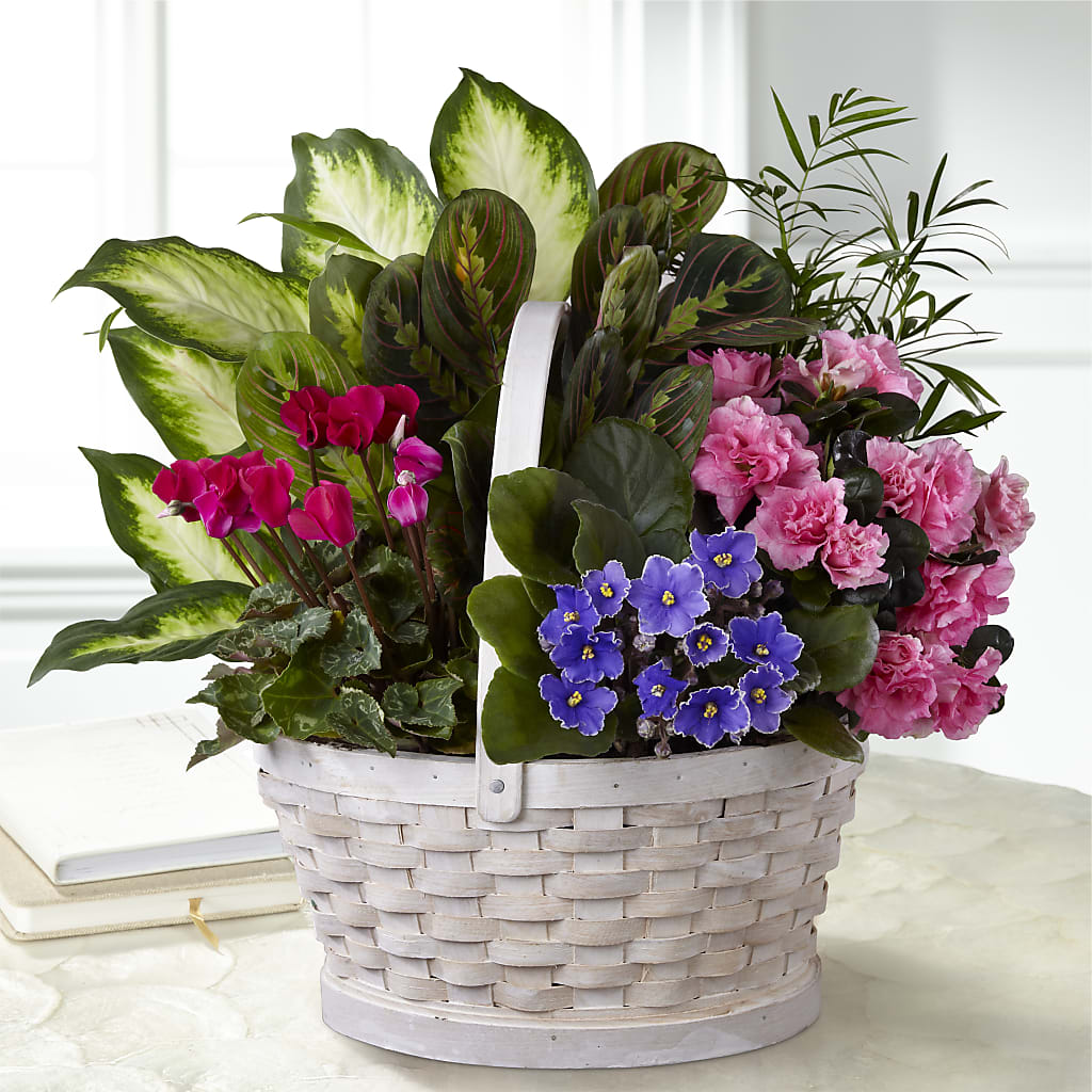 Peaceful Garden Planter – LAVENDER'S FLOWERS, Richmond BC