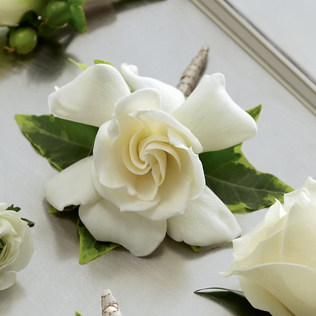 Gardenia Boutonniere – LAVENDER'S FLOWERS, Richmond BC
