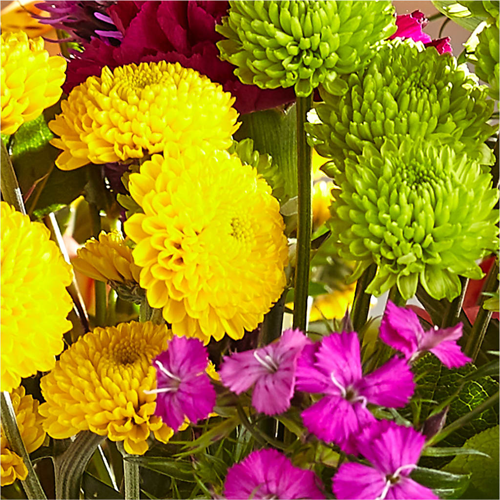 Bold & Bright – A Florist Original – LAVENDER'S FLOWERS, Richmond BC