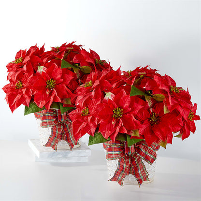 Happiest Holidays Poinsettia Bundle – LAVENDER'S FLOWERS, Richmond BC