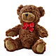 Adorable Plush Bear – LAVENDER'S FLOWERS, Richmond BC