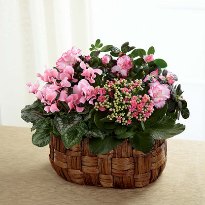 Pink Assortment – LAVENDER'S FLOWERS, Richmond BC