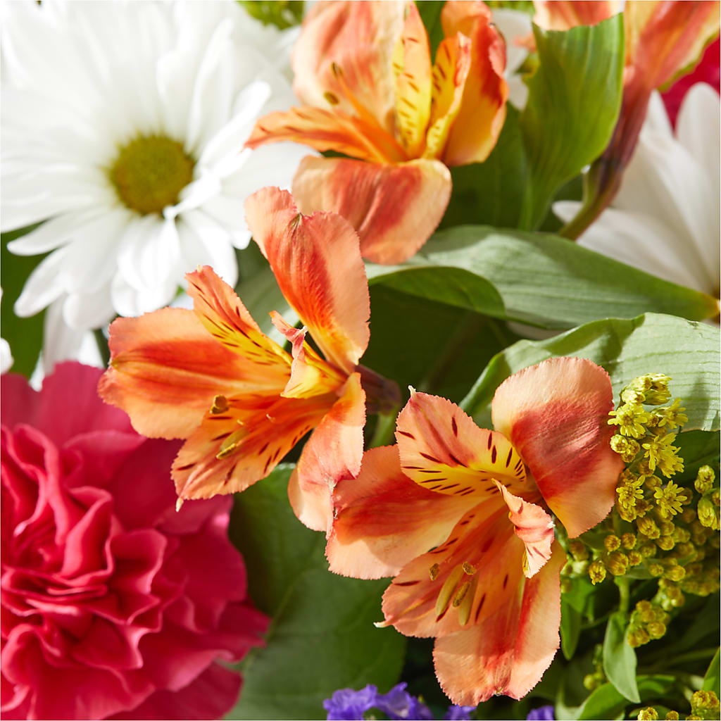 Oopsie Daisy Box Bouquet – LAVENDER'S FLOWERS, Richmond BC