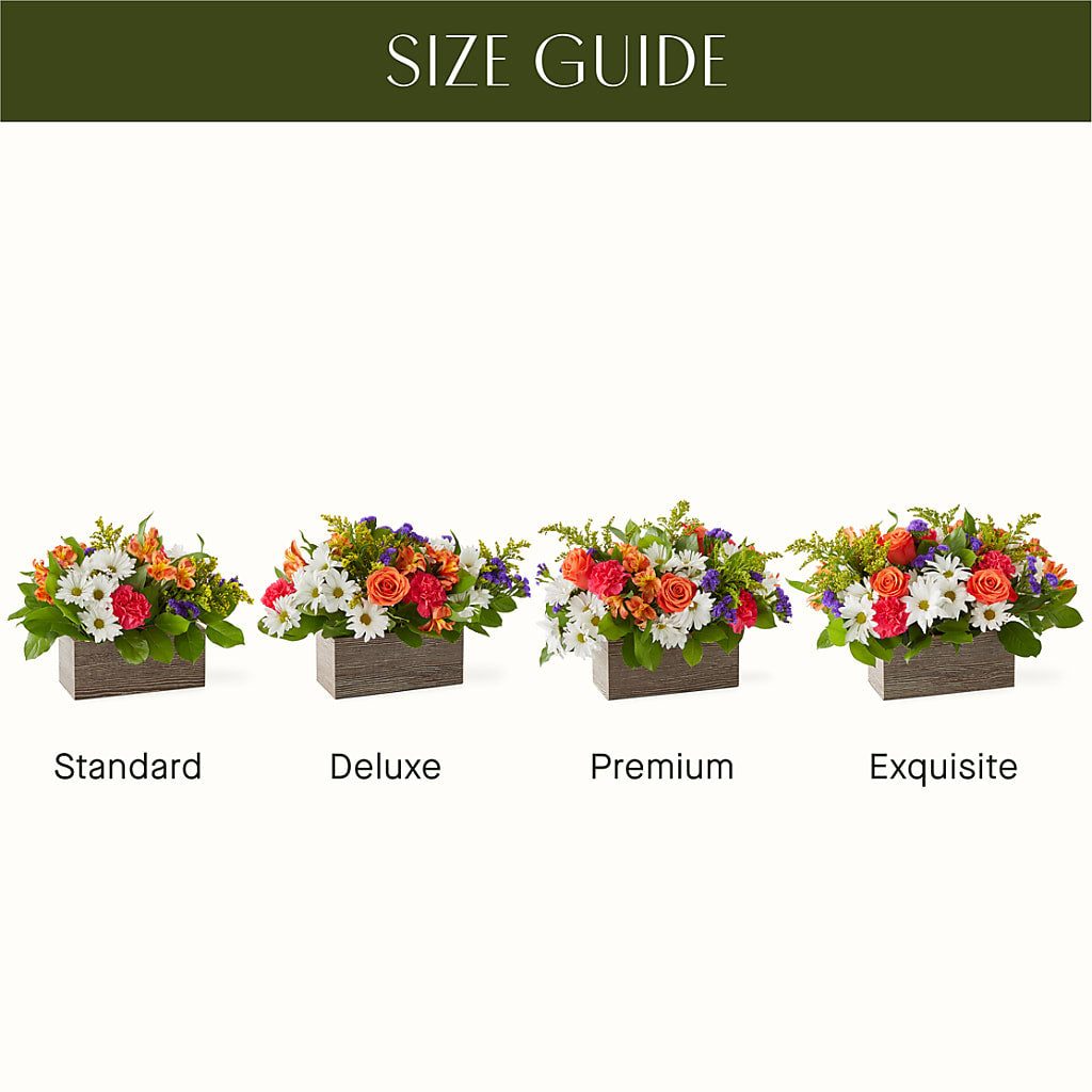 Oopsie Daisy Box Bouquet – LAVENDER'S FLOWERS, Richmond BC