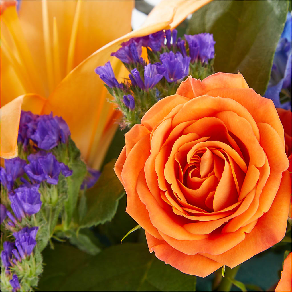 Radiant Citrus Box Bouquet – LAVENDER'S FLOWERS, Richmond BC