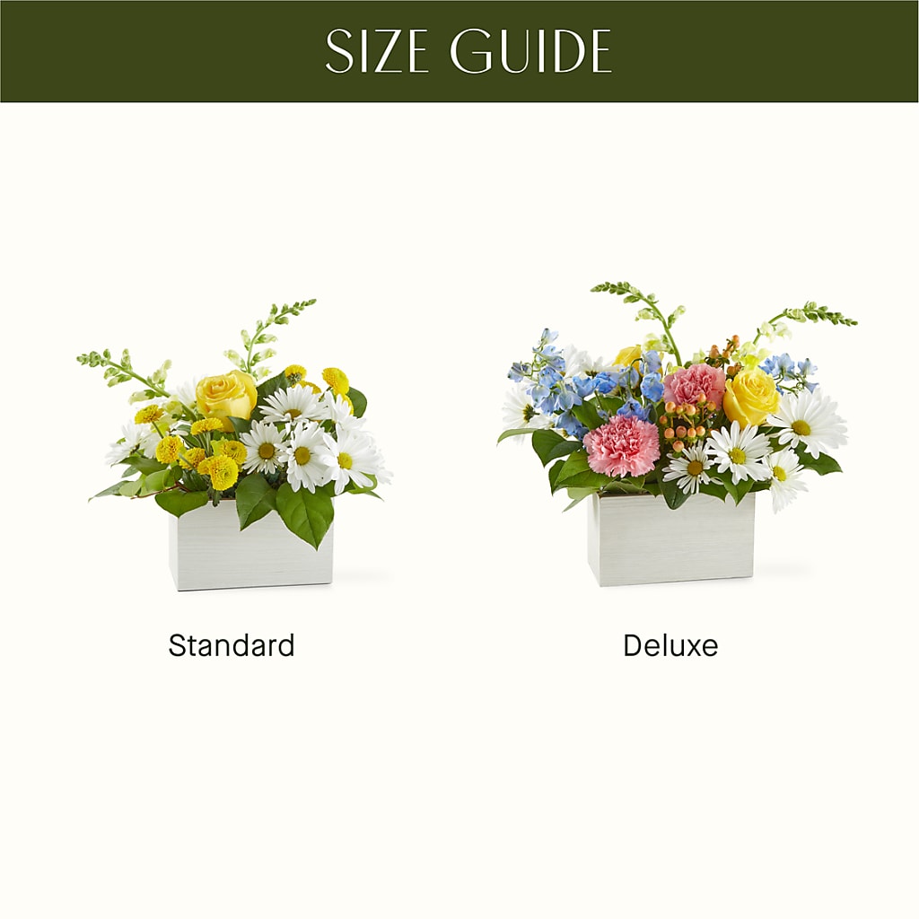 Sun Salutation Box Bouquet – LAVENDER'S FLOWERS, Richmond BC