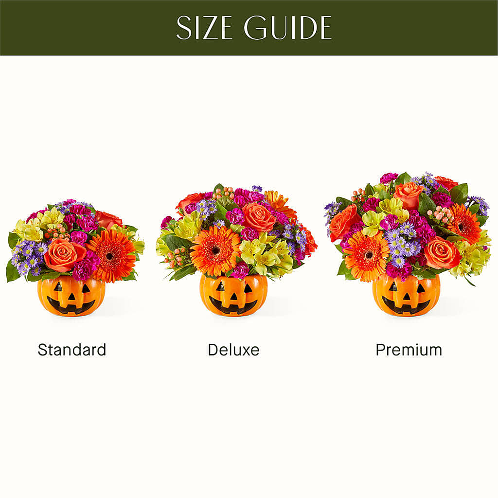 Tricks & Treats Pumpkin – LAVENDER'S FLOWERS, Richmond BC