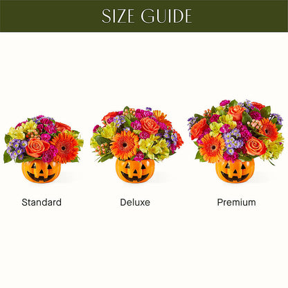Tricks & Treats Pumpkin – LAVENDER'S FLOWERS, Richmond BC