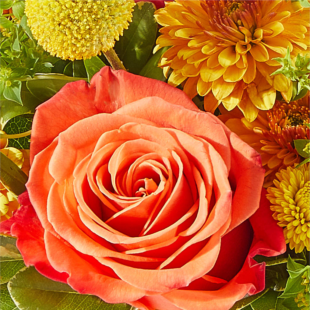 Gourdgeous Pumpkin – LAVENDER'S FLOWERS, Richmond BC