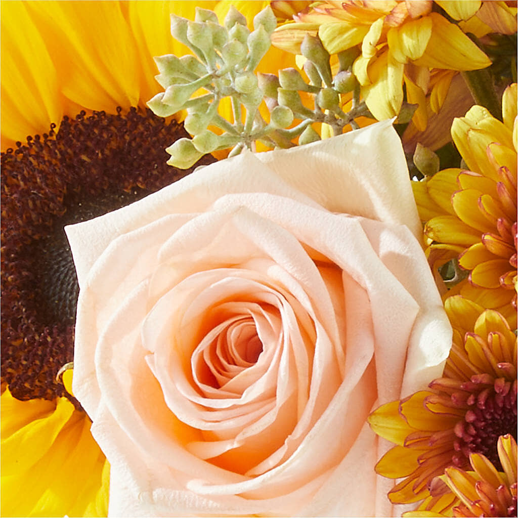 Pumpkin to Talk About Bouquet – LAVENDER'S FLOWERS, Richmond BC