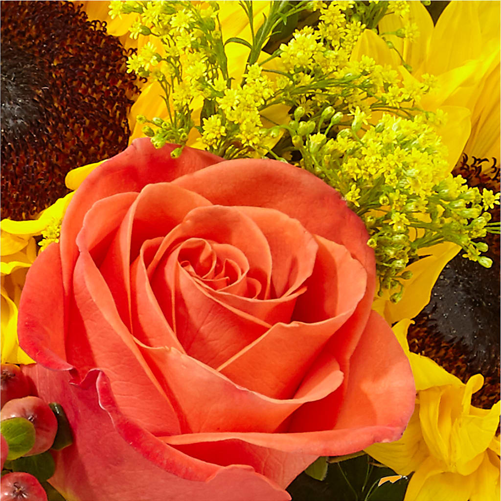 Pick of the Patch Pumpkin Bouquet – LAVENDER'S FLOWERS, Richmond BC