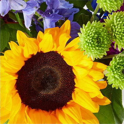 Catching Rays Bouquet – LAVENDER'S FLOWERS, Richmond BC