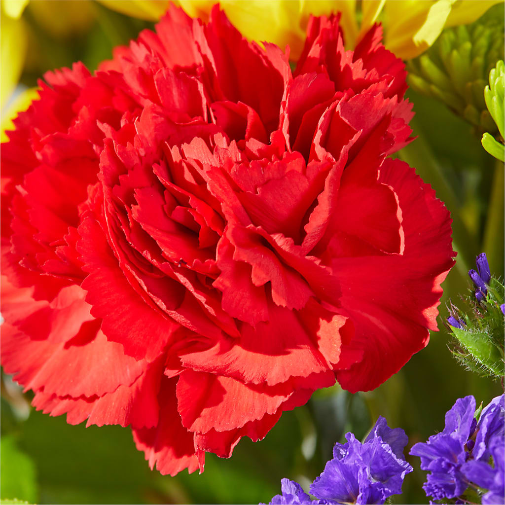 Brighter Days Bouquet – LAVENDER'S FLOWERS, Richmond BC