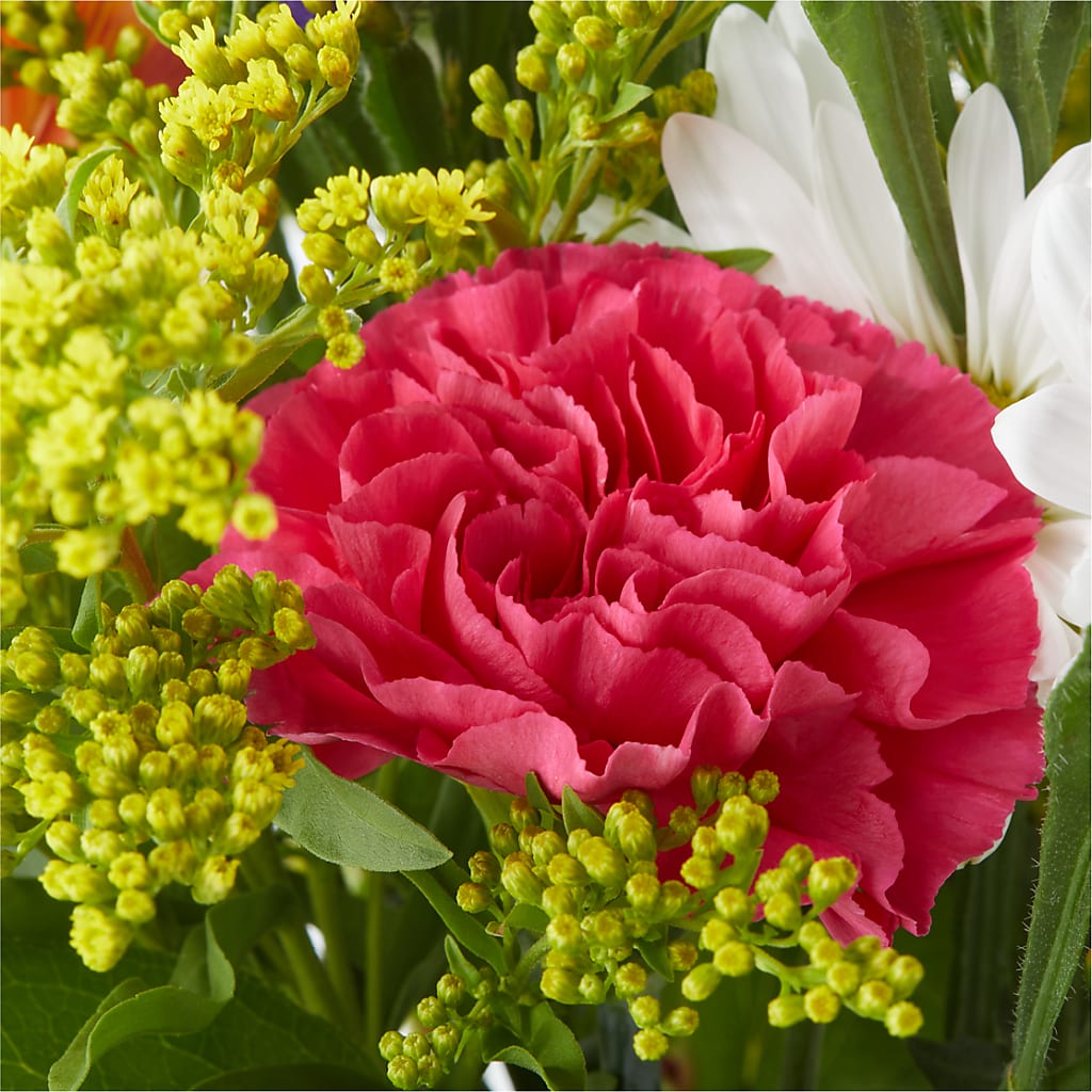 Oopsie Daisy Bouquet – LAVENDER'S FLOWERS, Richmond BC