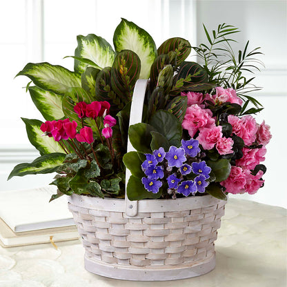 Peaceful Garden Planter – LAVENDER'S FLOWERS, Richmond BC