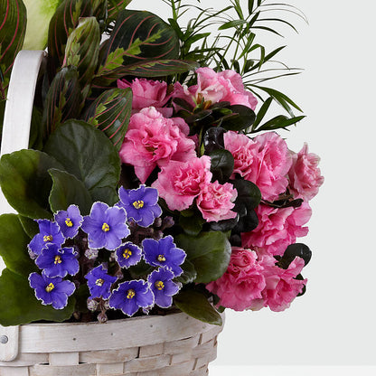 Peaceful Garden Planter – LAVENDER'S FLOWERS, Richmond BC