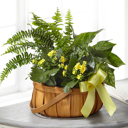 Always Dear Dishgarden – LAVENDER'S FLOWERS, Richmond BC