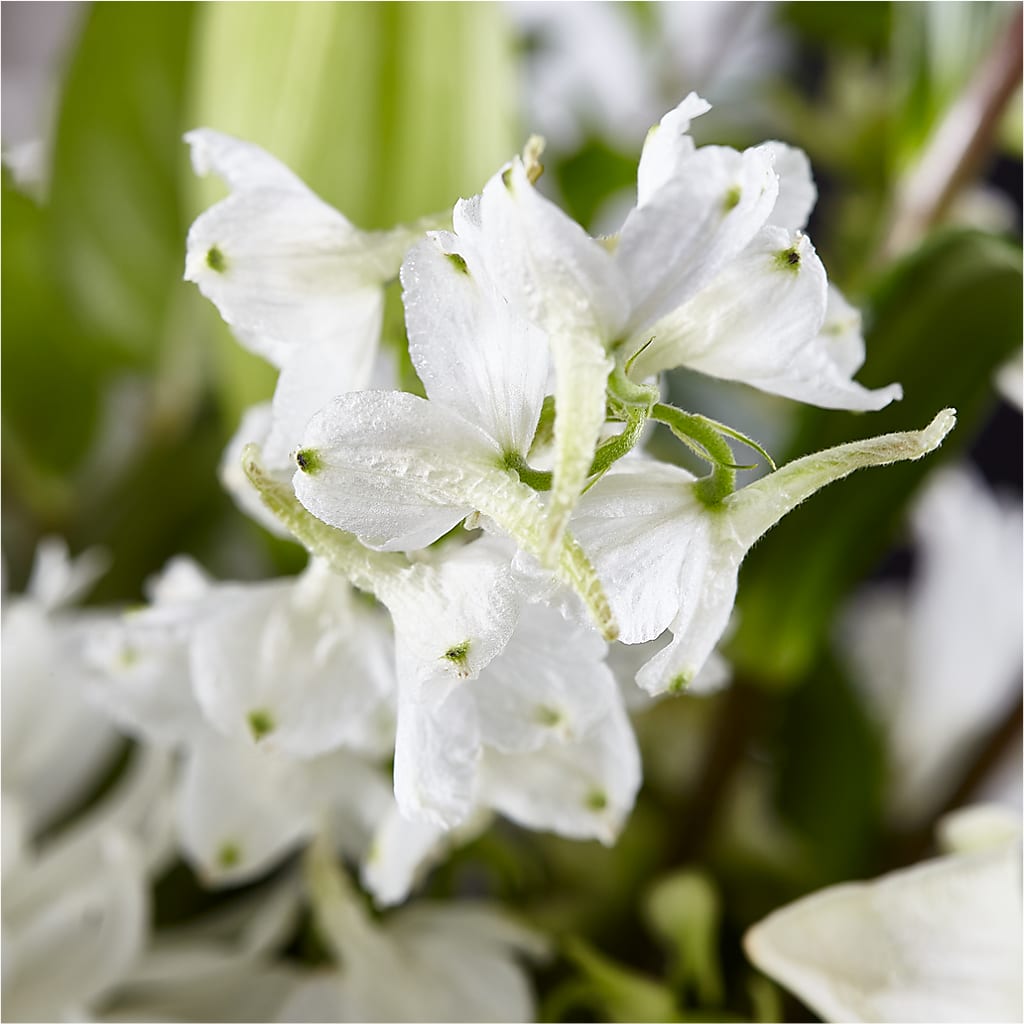 Classic Ivory – A Florist Original – LAVENDER'S FLOWERS, Richmond BC