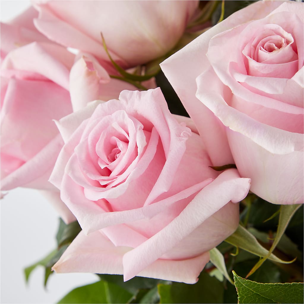 Picture Perfect Pink Rose Bouquet – LAVENDER'S FLOWERS, Richmond BC