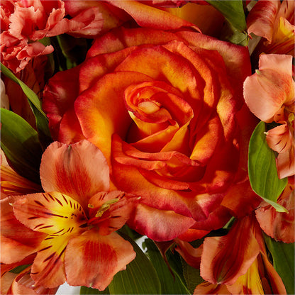 Apricot Glow Bouquet – LAVENDER'S FLOWERS, Richmond BC