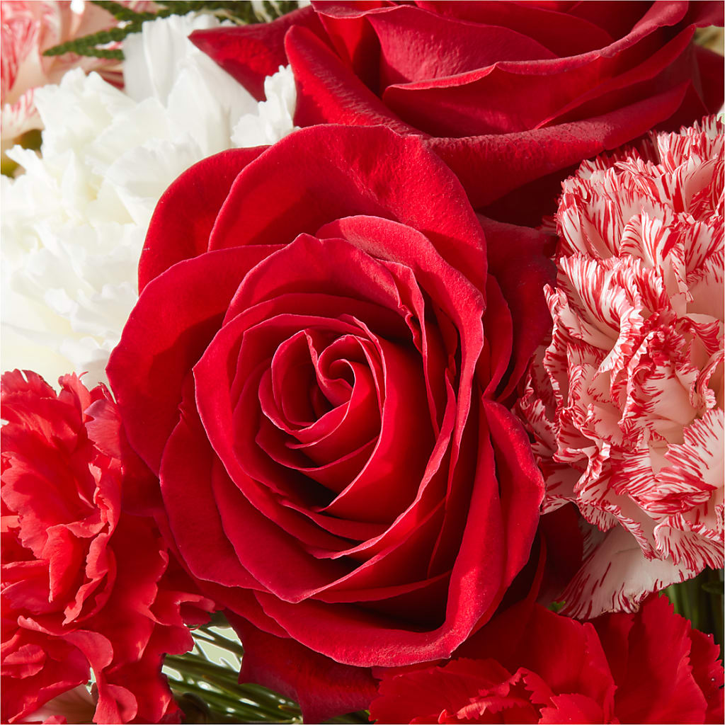 Candy Cane Lane Bouquet – LAVENDER'S FLOWERS, Richmond BC
