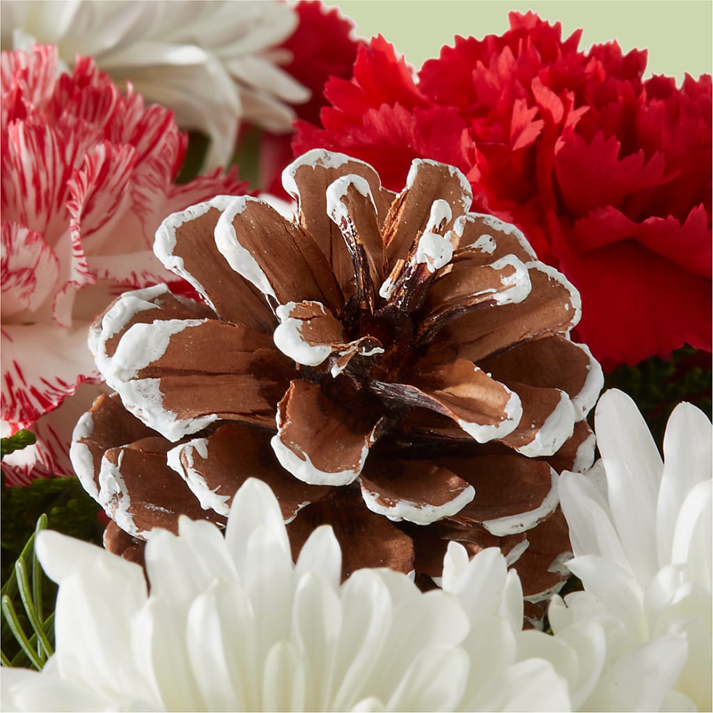 Candy Cane Lane Bouquet – LAVENDER'S FLOWERS, Richmond BC