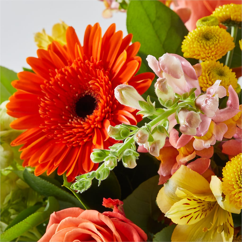Autumn Sunshine Bouquet – LAVENDER'S FLOWERS, Richmond BC