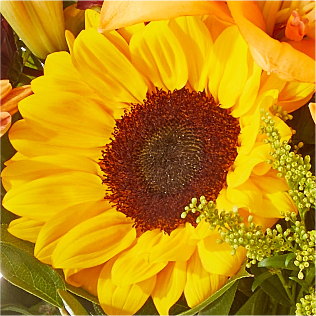 Seasons Change Bouquet – LAVENDER'S FLOWERS, Richmond BC