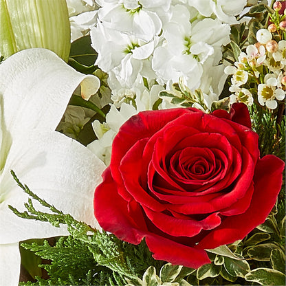 Twinkle Lights Bouquet – LAVENDER'S FLOWERS, Richmond BC