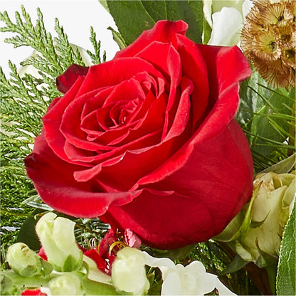 Deck the Halls Bouquet – LAVENDER'S FLOWERS, Richmond BC