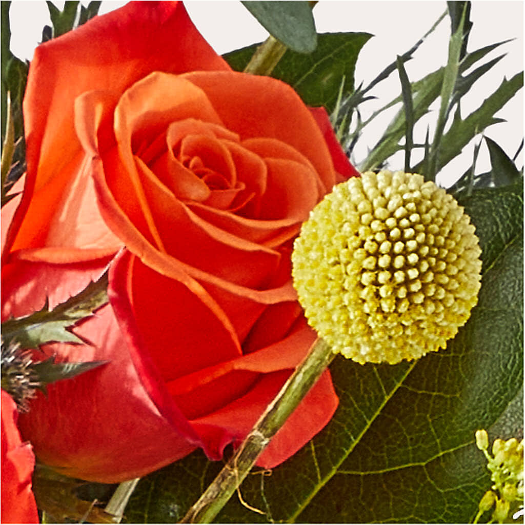 Disco Bouquet – LAVENDER'S FLOWERS, Richmond BC