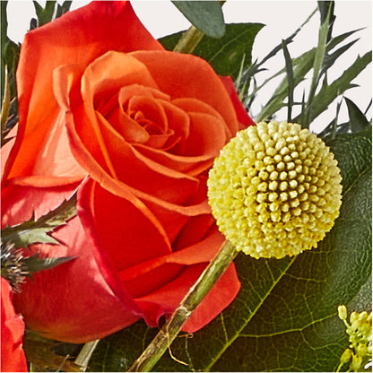 Disco Bouquet – LAVENDER'S FLOWERS, Richmond BC