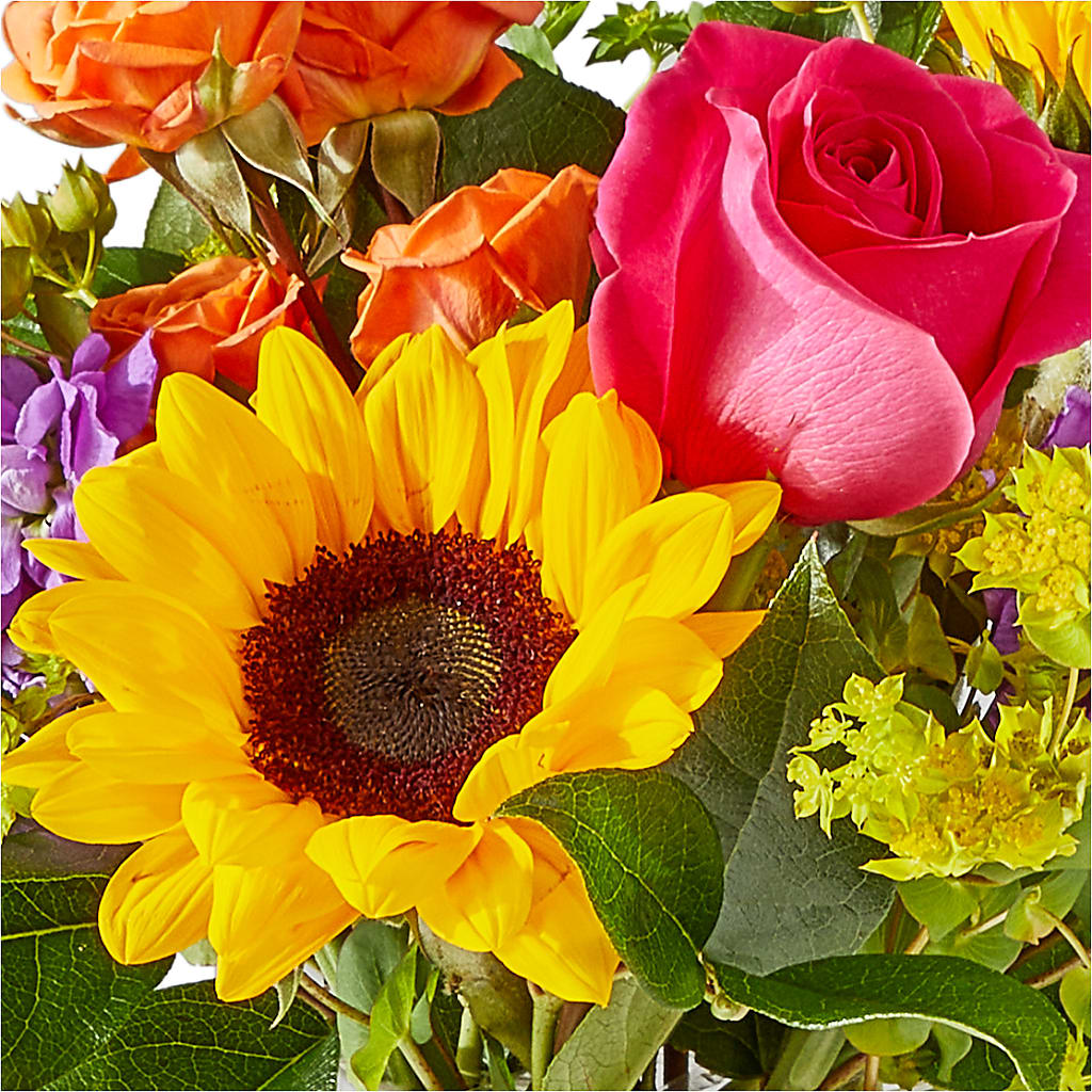 Vibrant Greetings Bouquet – LAVENDER'S FLOWERS, Richmond BC