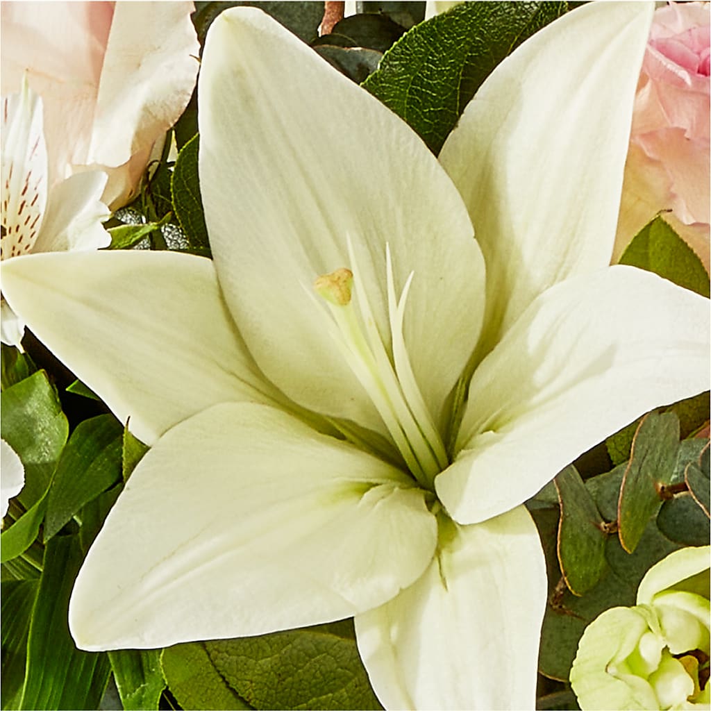 Ballet Slippers Bouquet – LAVENDER'S FLOWERS, Richmond BC