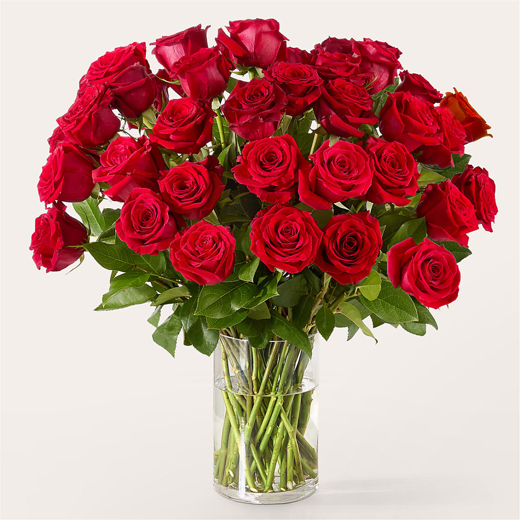 The One Red Rose Bouquet – LAVENDER'S FLOWERS, Richmond BC
