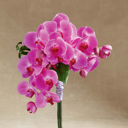 Glorious Bouquet – LAVENDER'S FLOWERS, Richmond BC