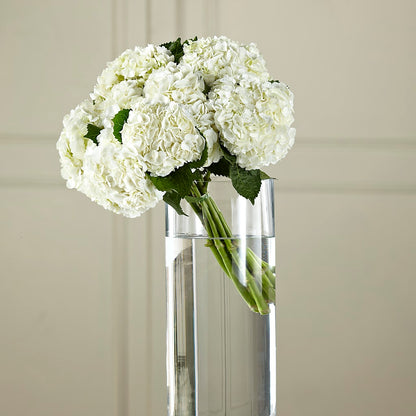 White Hydrangea Hand-Tied Bouquet – LAVENDER'S FLOWERS, Richmond BC
