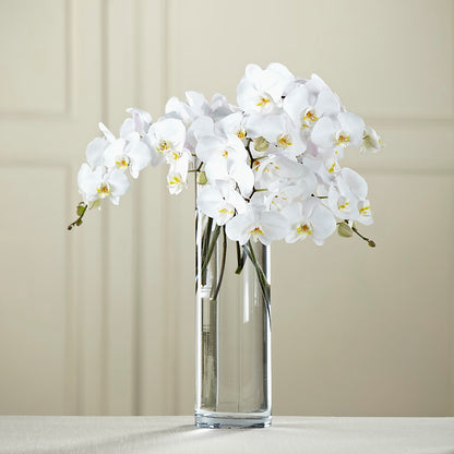 White Phalaenopsis Bouquet – LAVENDER'S FLOWERS, Richmond BC