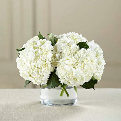 White Hydrangea Bouquet – LAVENDER'S FLOWERS, Richmond BC